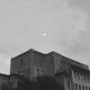 Absent-minded（40s Demo）
