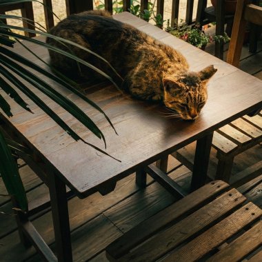 你是如此的美好