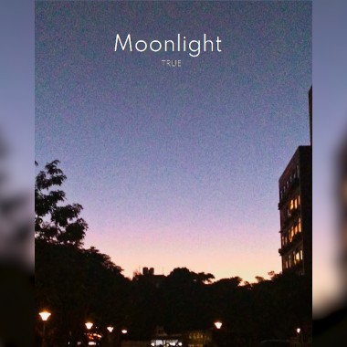 月光 Moonlight