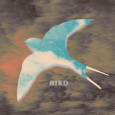 鳥