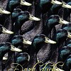 LOUI DA 6 -【Dark ducks】(Official Audio)