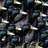 LOUI DA 6 -【Dark ducks】(Official Audio)