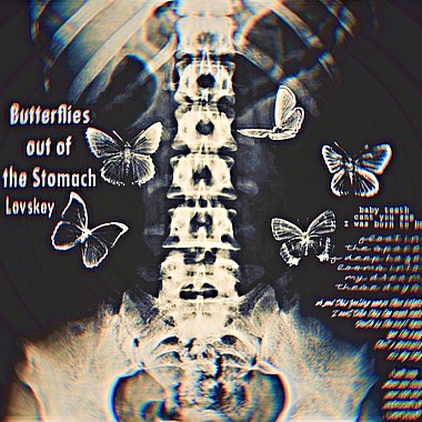 Butterflies out of the Stomach