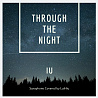 IU - Through the Night (Alto saxophone cover)