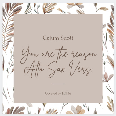 You Are The Reason (Alto Saxophone Cover)