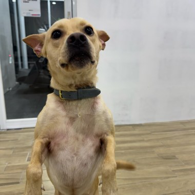 愛，停止了轉動Remix