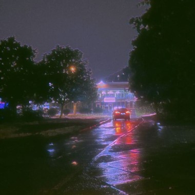不是我的菜
