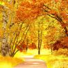 Autumn (Demo)