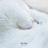 Pet You