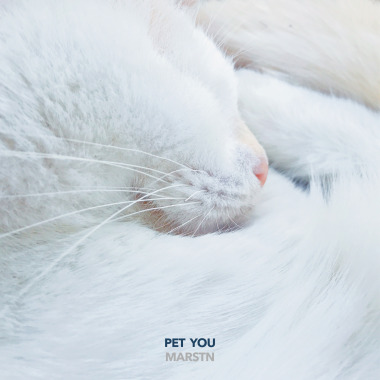 Pet You