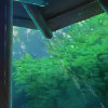 落水 Log sui`