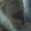 IDKWhatIsThis-2