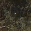不想放手（demo)