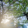 《還沒被聽見的歌兒們｜01》走吧