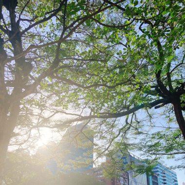 《還沒被聽見的歌兒們｜01》走吧