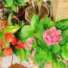 《還沒被聽見的歌兒們｜03》牽牛