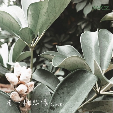 有一種悲傷
