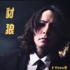 豺狼
