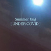 Summer bug
