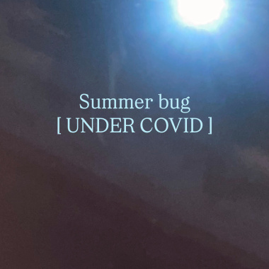 Summer bug