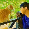 遥か彼方へ