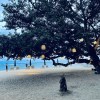 初秋(demo)