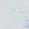 野牡丹
