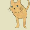 Cat Philosophy