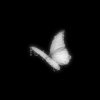 Seed You Sad (Waste)
