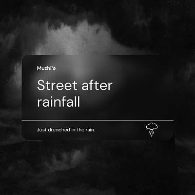 下過雨的街道 Street after rainfall