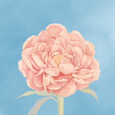 牡丹（MuDan）
