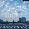 我和你最初也是最後的盛夏