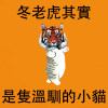 娜娜跌死–冬老虎其實是隻溫馴的小貓(inst.)