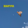 BEAUTIFUL