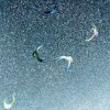 蝸蝸世界 004