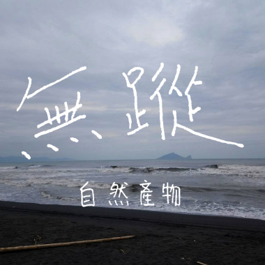 無蹤 Demo