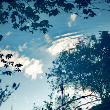 水族館少女(Single)