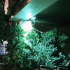 閃爍霓虹燈