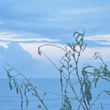 CIRCLES 死循環 (demo) W/ Cyy