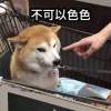 乒乓