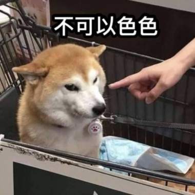 乒乓