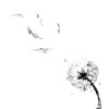 Blue Wind 藍色的風