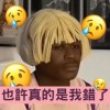 也許真的是我錯了 -（心理學家The Psychologists）