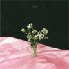 Watorest - Garden (Official Audio)