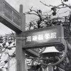 臨牙之旅 -《高醫牙醫系108級授袍典禮》歌曲