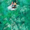 夏