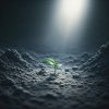 theBegin