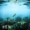 「無意識」六感聯覺～沈浸式音樂體驗展主題音樂