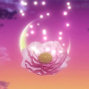 【だんご花】「暁」を歌ってみた【暁のヨナED2】