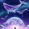 梦幻谷（片段1）